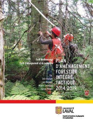 cover image of Plan d'aménagement forestier intégré tactique 2014-2019 Forê